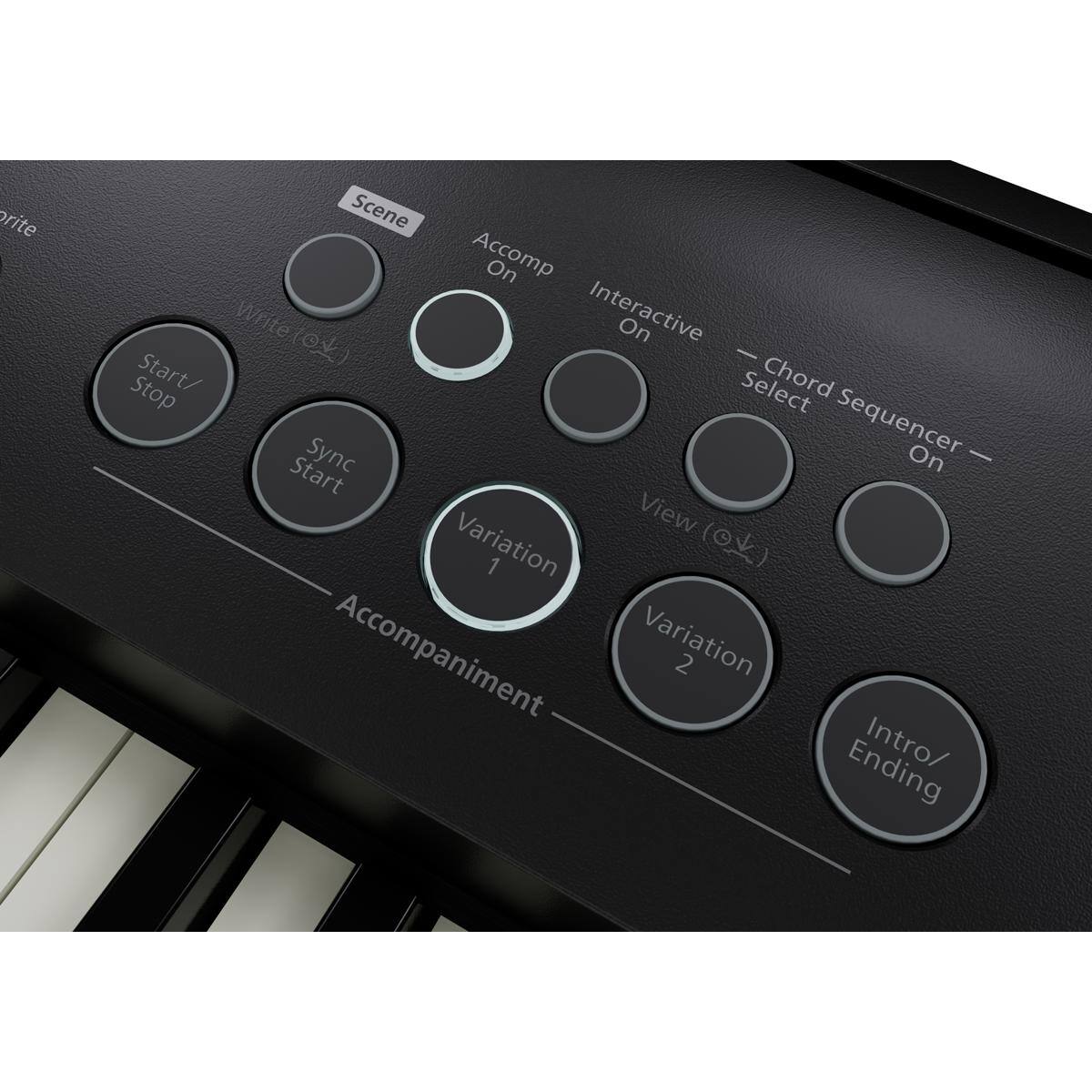 - Scene
- Accompany On
- Interactive On
- Chord Sequencer On
- Start/Stop
- Sync Start
- Write (OK)
- View (OK)
- Variation 1
- Variation 2
- Intro/Ending
- Accompaniment