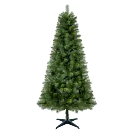 Ecooso - 6FT Hinged Unlit Artificial Christmas Tree with 582 Tips, Full PVC Branches, 4-Leg Plastic Stand - Green
