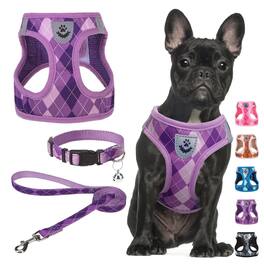Paradigms Interiors - Dog Harness And Leash Collar Set Step In No Pull Soft Mesh Harnesses For Sized Dogs Puppy Cats Outdoor - Purple-M: Chest Girth: 16"-18"