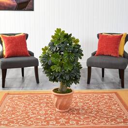 BreeBe - 39" Schefflera Tree in Terra-Cotta Planter (Real Touch) - Green