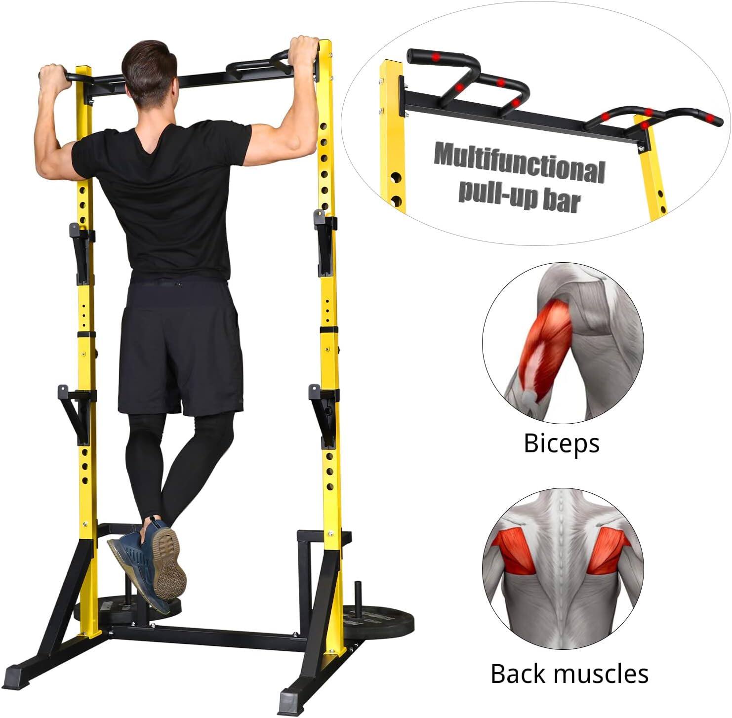 Multifunctional pull-up bar
Biceps
Back muscles