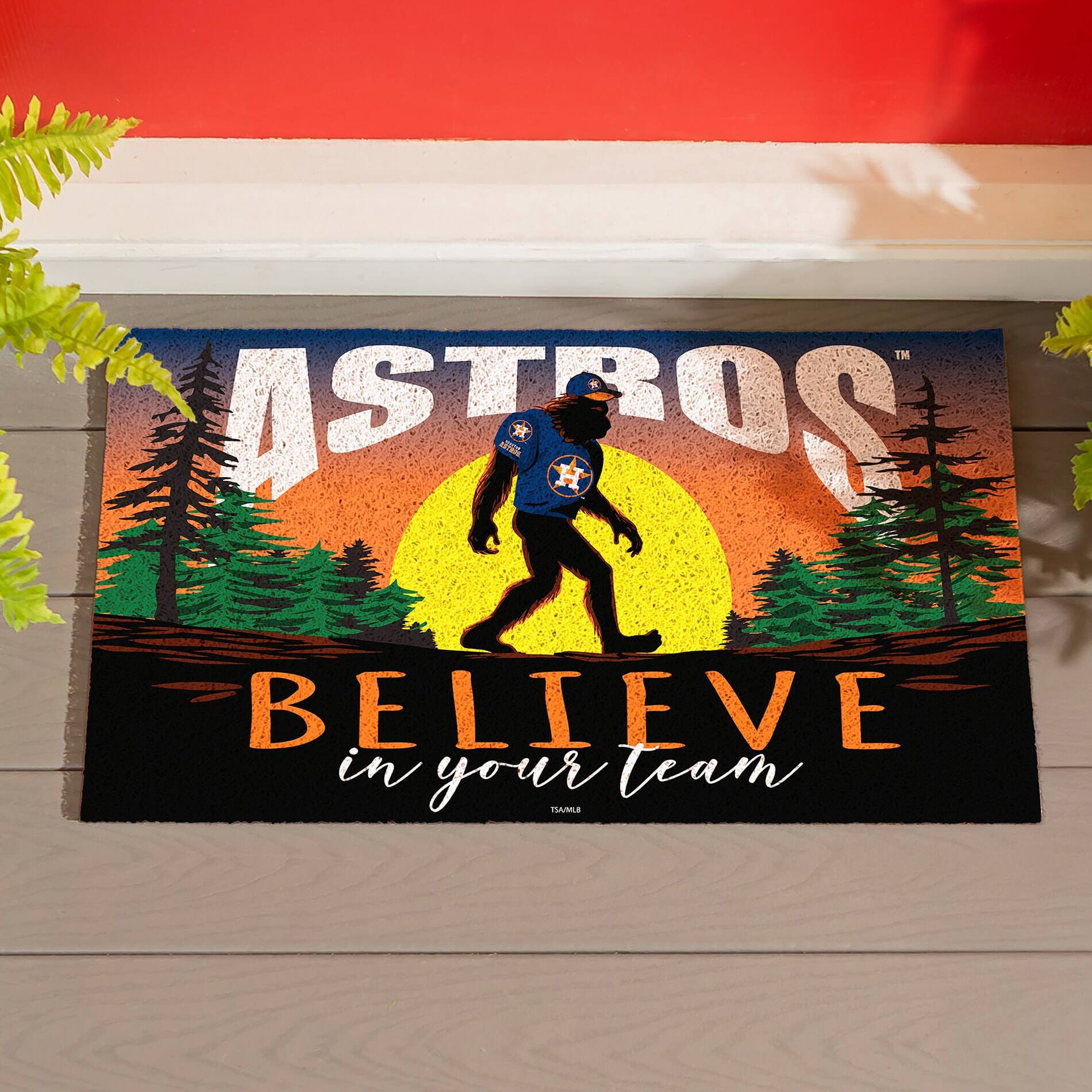 ASTROS  
BELIEVE in your team