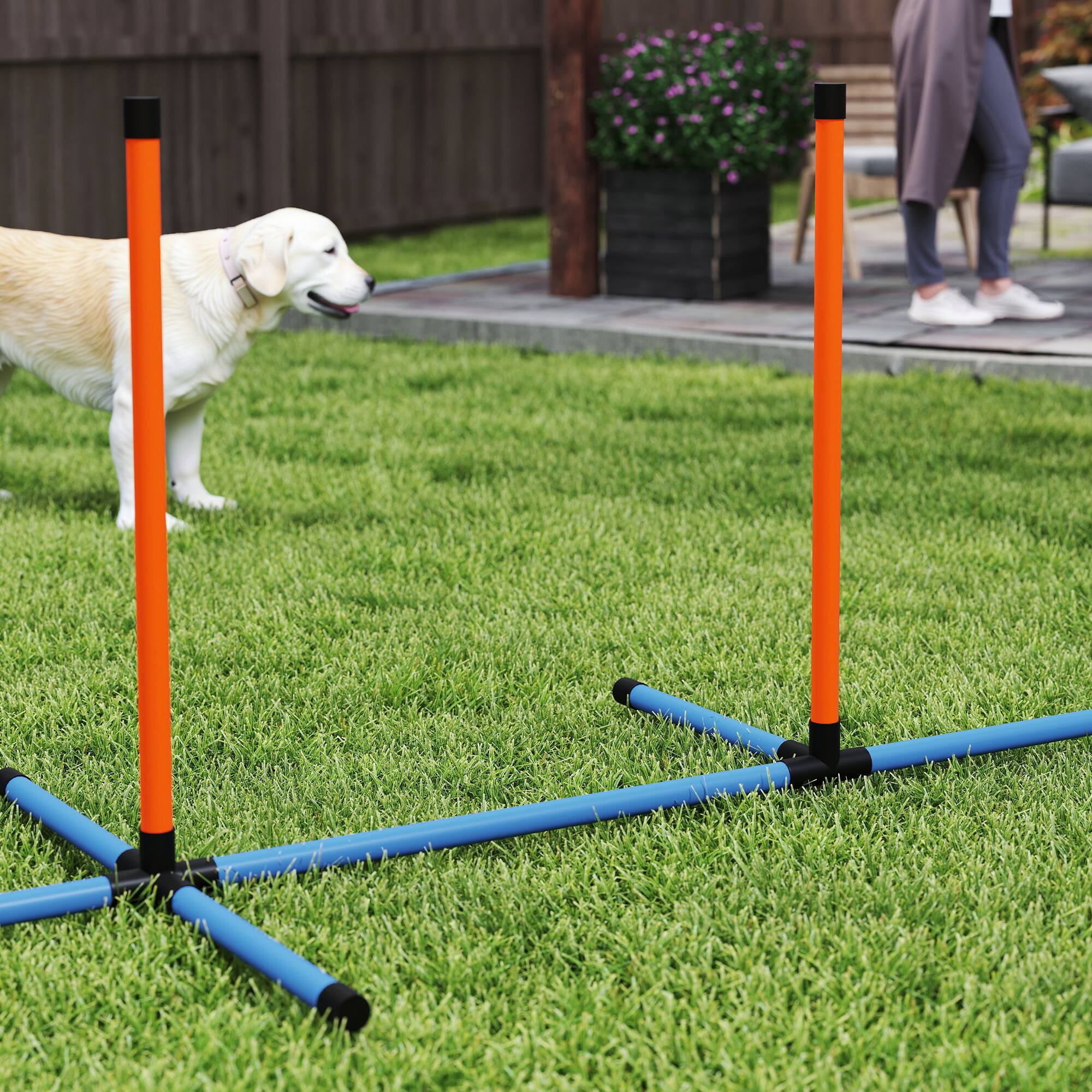 Alt View 5. Pawhut - Dog Agility Training Set, 10 PCs Complete Course, 2 Tunnels, Weave Poles, Pause Box, Hurdles, Balls, Whistle, Carry Bag - Orange.