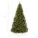 The text on the image indicates the dimensions of the Christmas tree:
- Height: 9 ft.
- Width: 4.9 ft.
