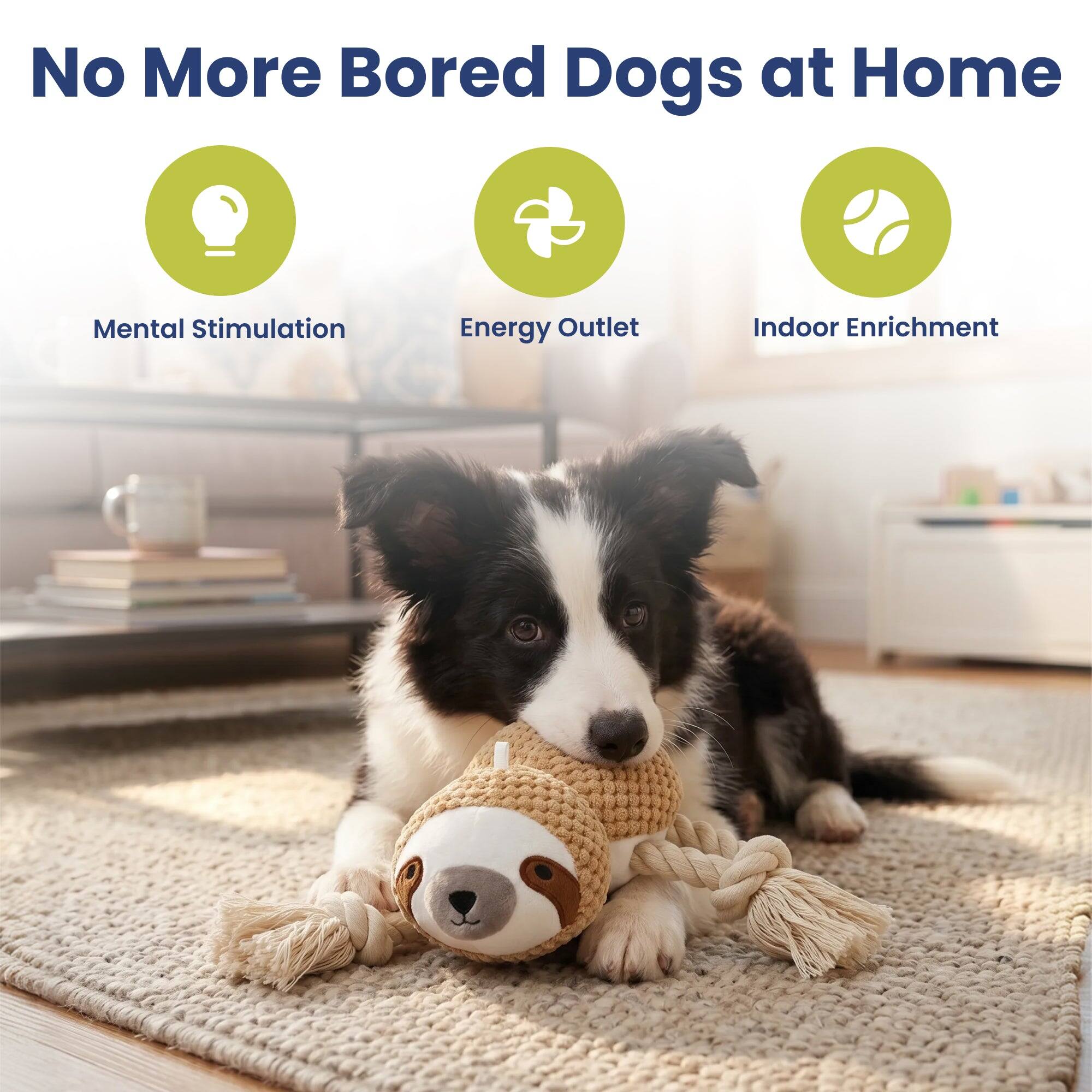 No More Bored Dogs at Home

- Mental Stimulation
- Energy Outlet
- Indoor Enrichment
