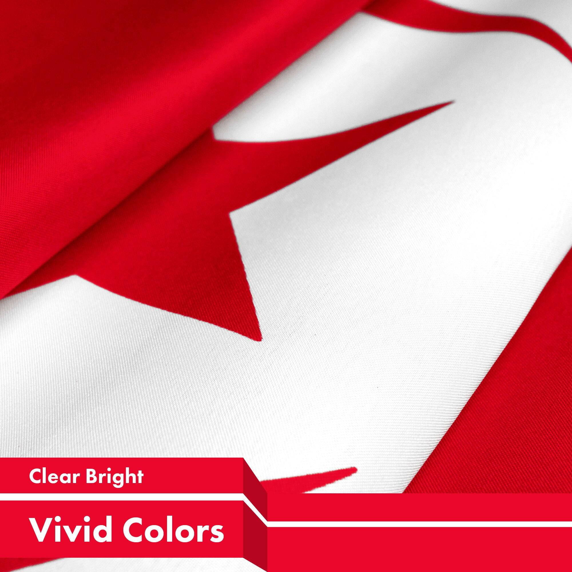 Clear Bright  
Vivid Colors