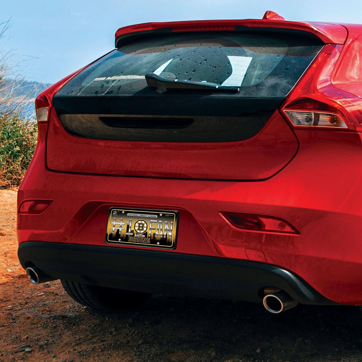 #1 FAN  
BOSTON  
BRUINS