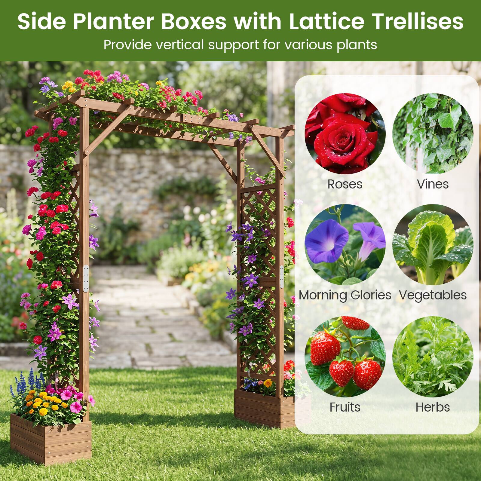 Side Planter Boxes with Lattice Trellises  
Provide vertical support for various plants  
Roses  
Vines  
Morning Glories  
Vegetables  
Fruits  
Herbs