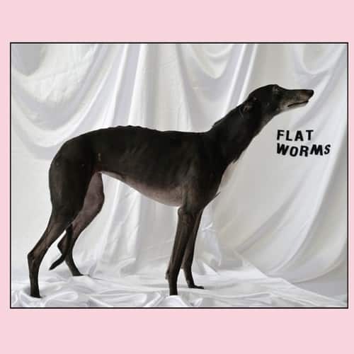 Flat Worms - Flat Worms   - VINYL LP price history on PriceWatchPro