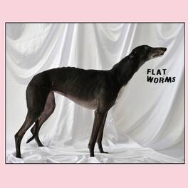 Flat Worms - Flat Worms - VINYL LP