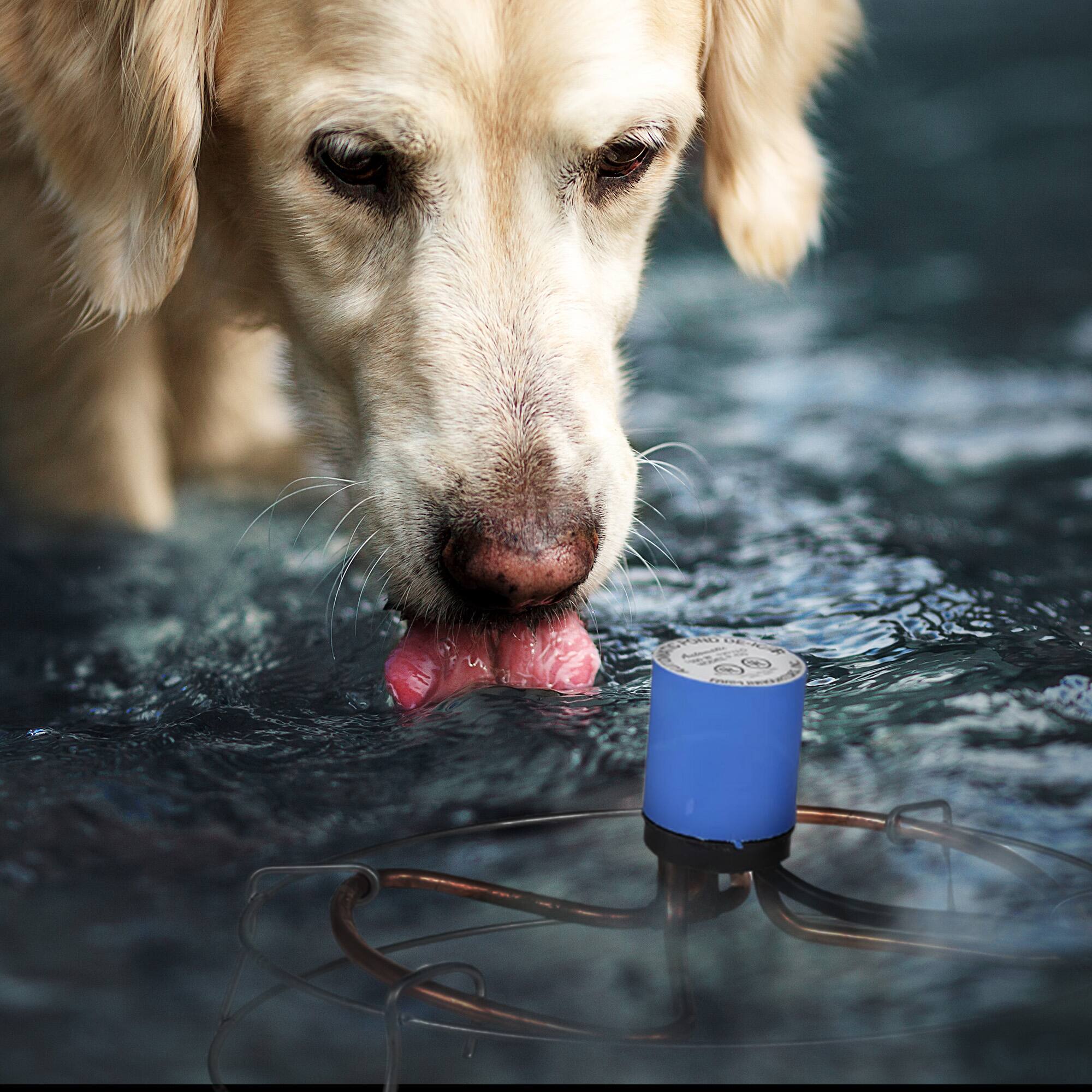 Alt View 2. Farm Innovators - Farm Innovators H-429 1500 Watt Cast Aluminum Submergible Water Deicer - Silver.