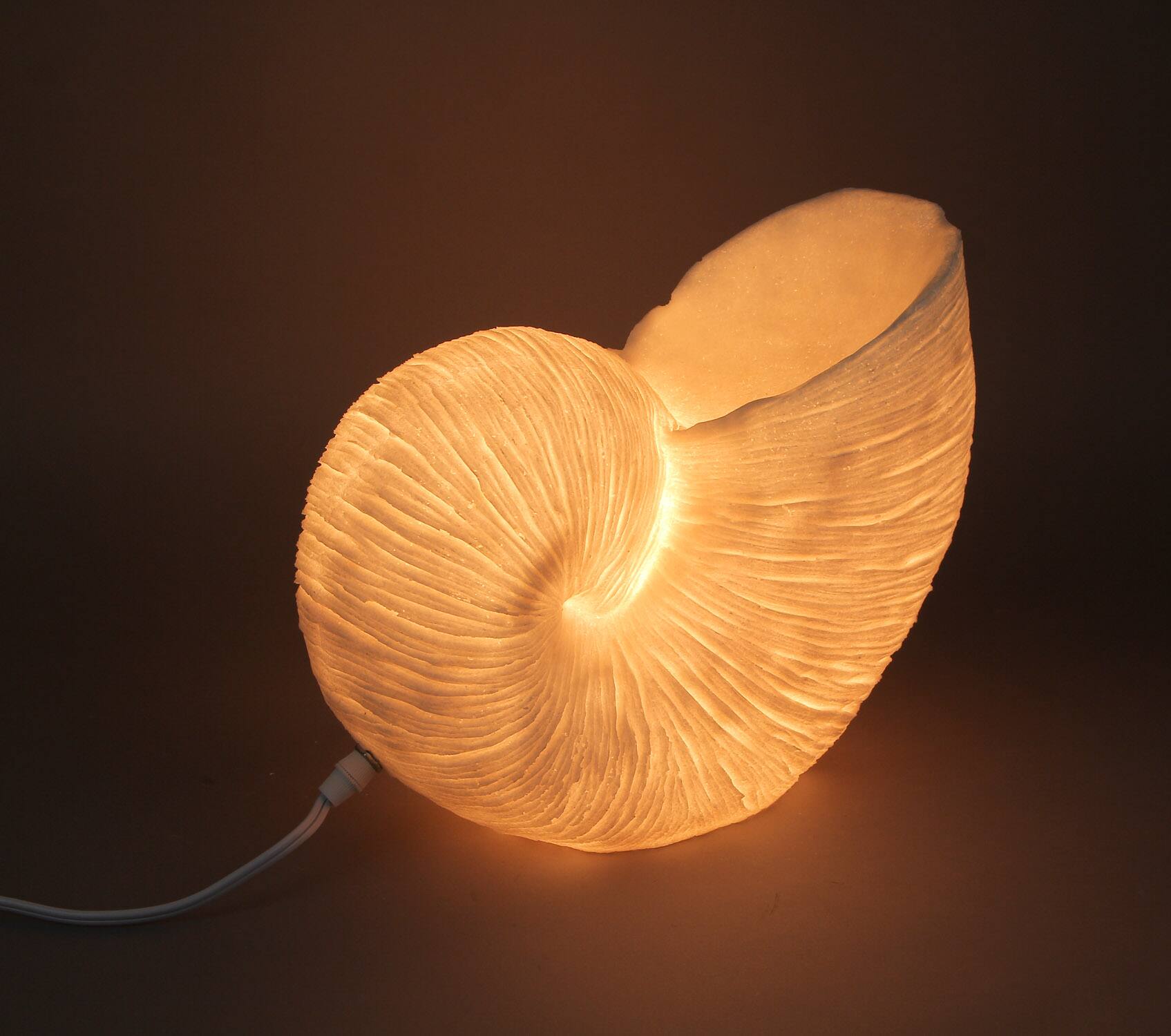 Alt View 2. Contrast Inc. - White Sandstone Finish Frilled Nautilus Shell Accent Lamp 10 Inches High - White.