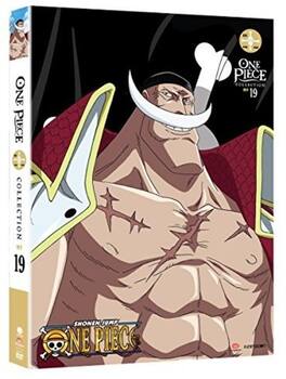 One Piece: Collection 19 - DVD