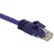 Alt View Standard 20. C2G - Cat6 Patch Cable - Purple.