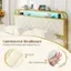 "Upholstered Headboard: Provide comfortable back support for you. Soft Velvet: High-density Sponge."