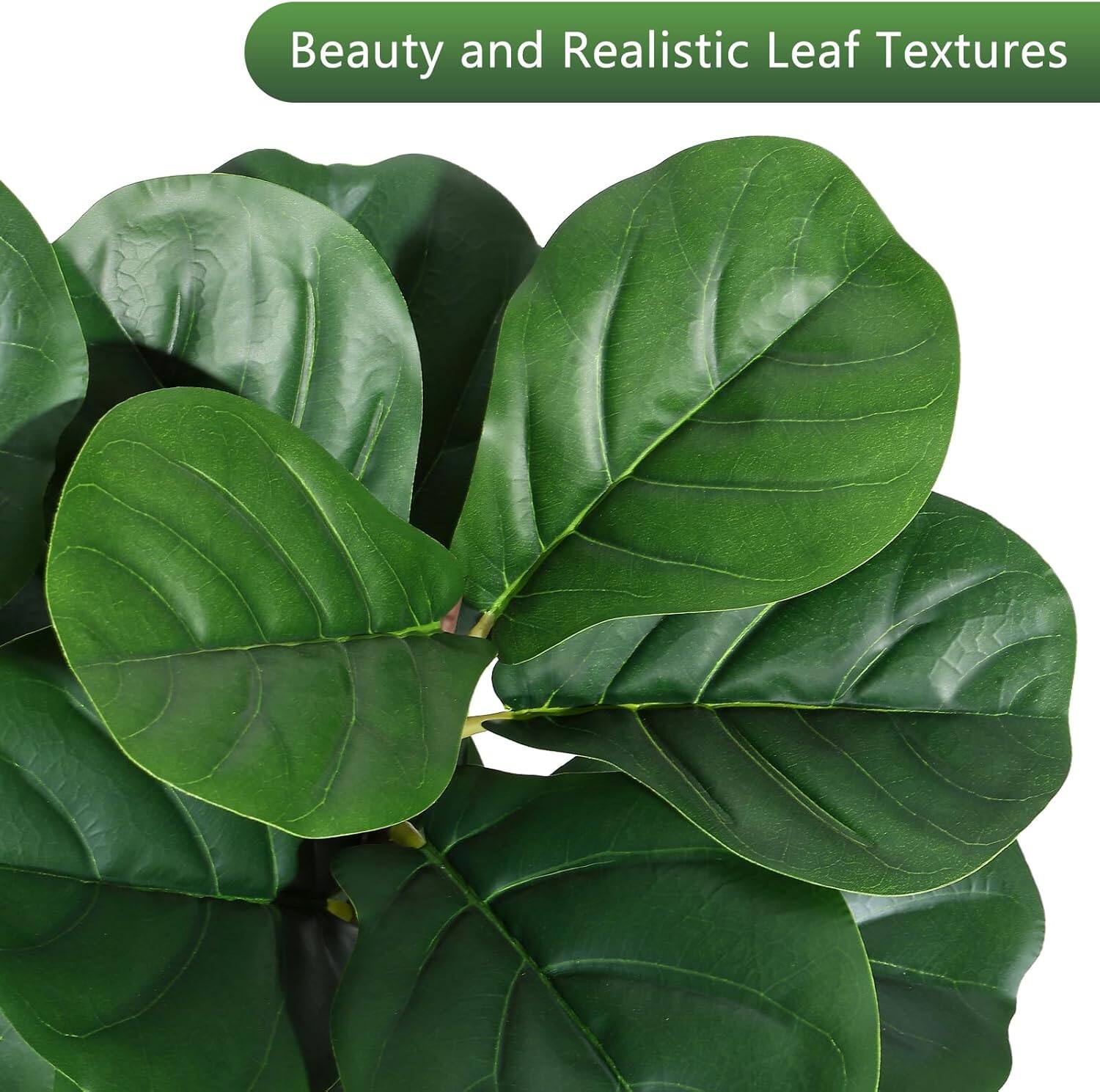 Beauty and Realistic Leaf Textures