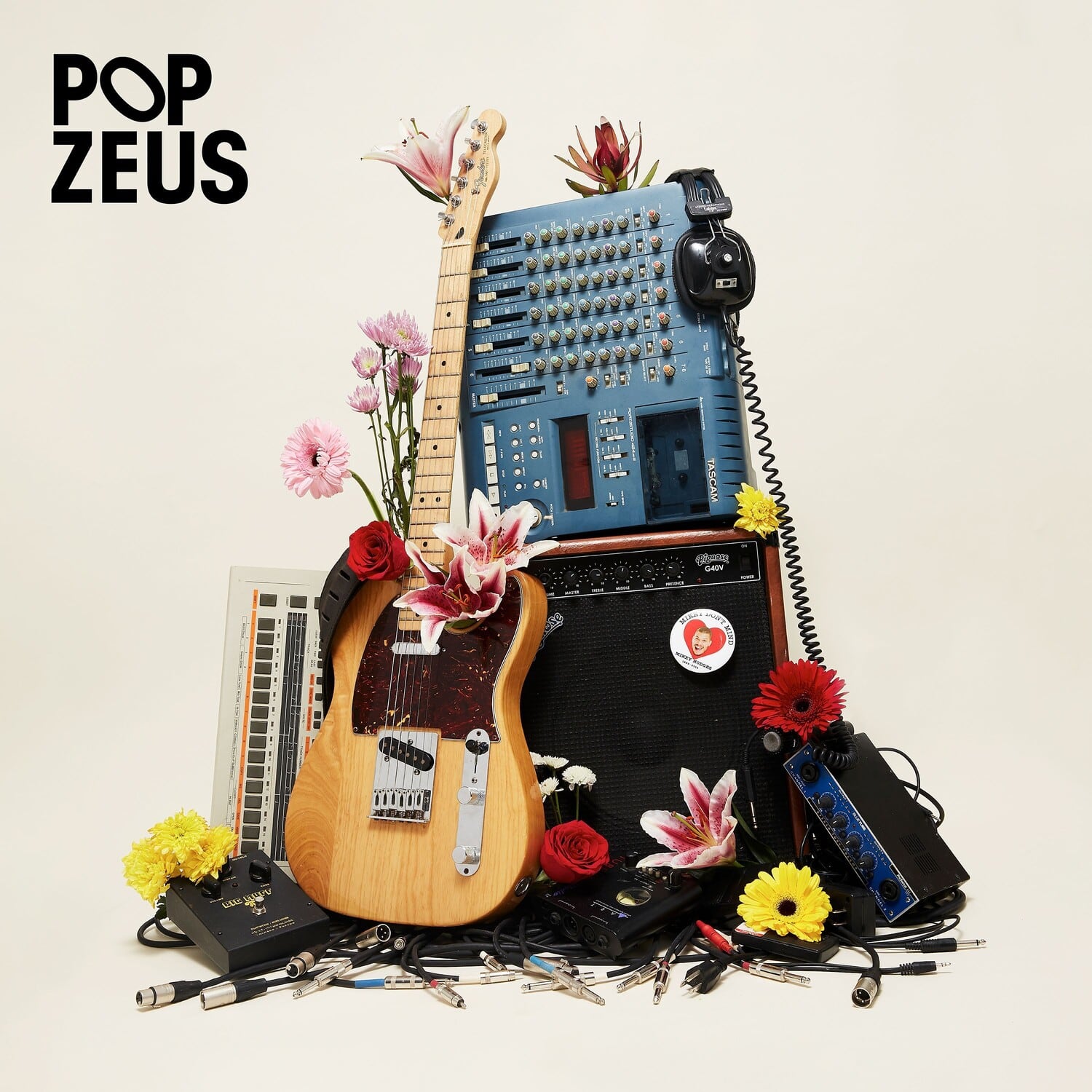 Pop Zeus - This Doesn't Feel Like Home (Unreleased Demos 2011-2014)  - VINYL LP