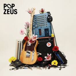Pop Zeus - This Doesn't Feel Like Home (Unreleased Demos 2011-2014) - VINYL LP