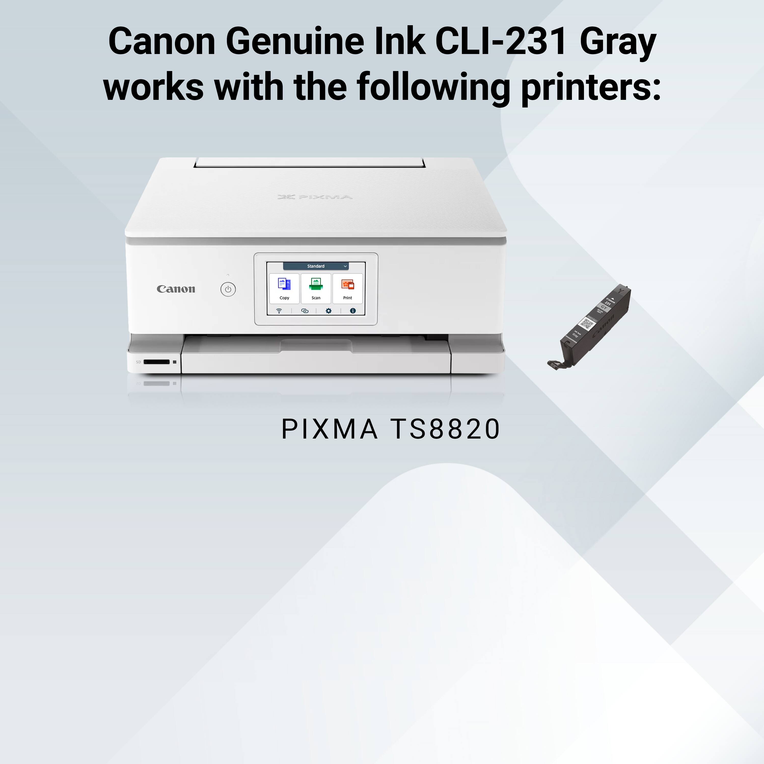 Canon Genuine Ink CLI-231 Gray works with the following printers:

- PIXMA TS8820