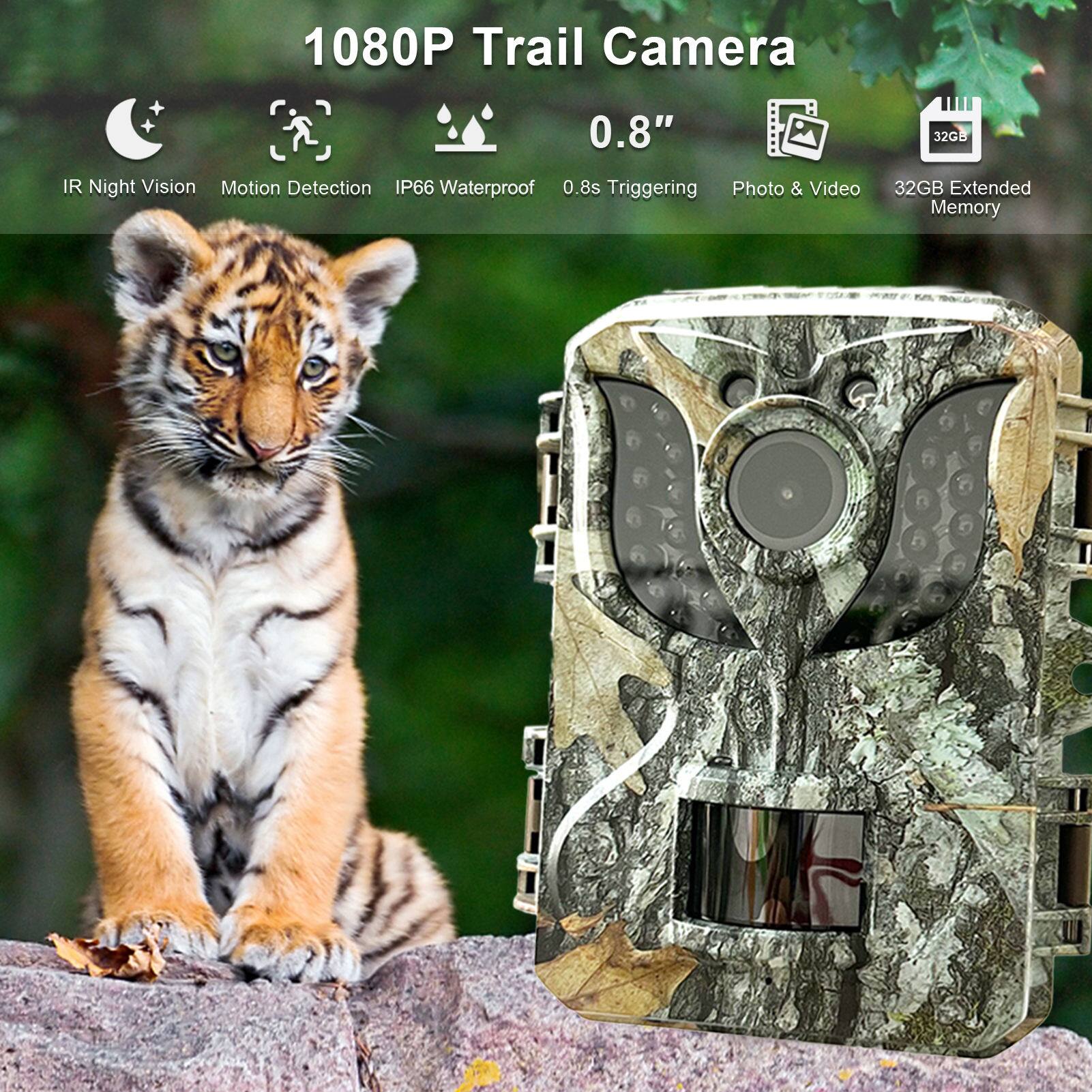 1080P Trail Camera + 0.8" 32GB IR Night Vision Motion Detection IP66 Waterproof 0.8s Triggering Photo & Video 32GB Extended Memory