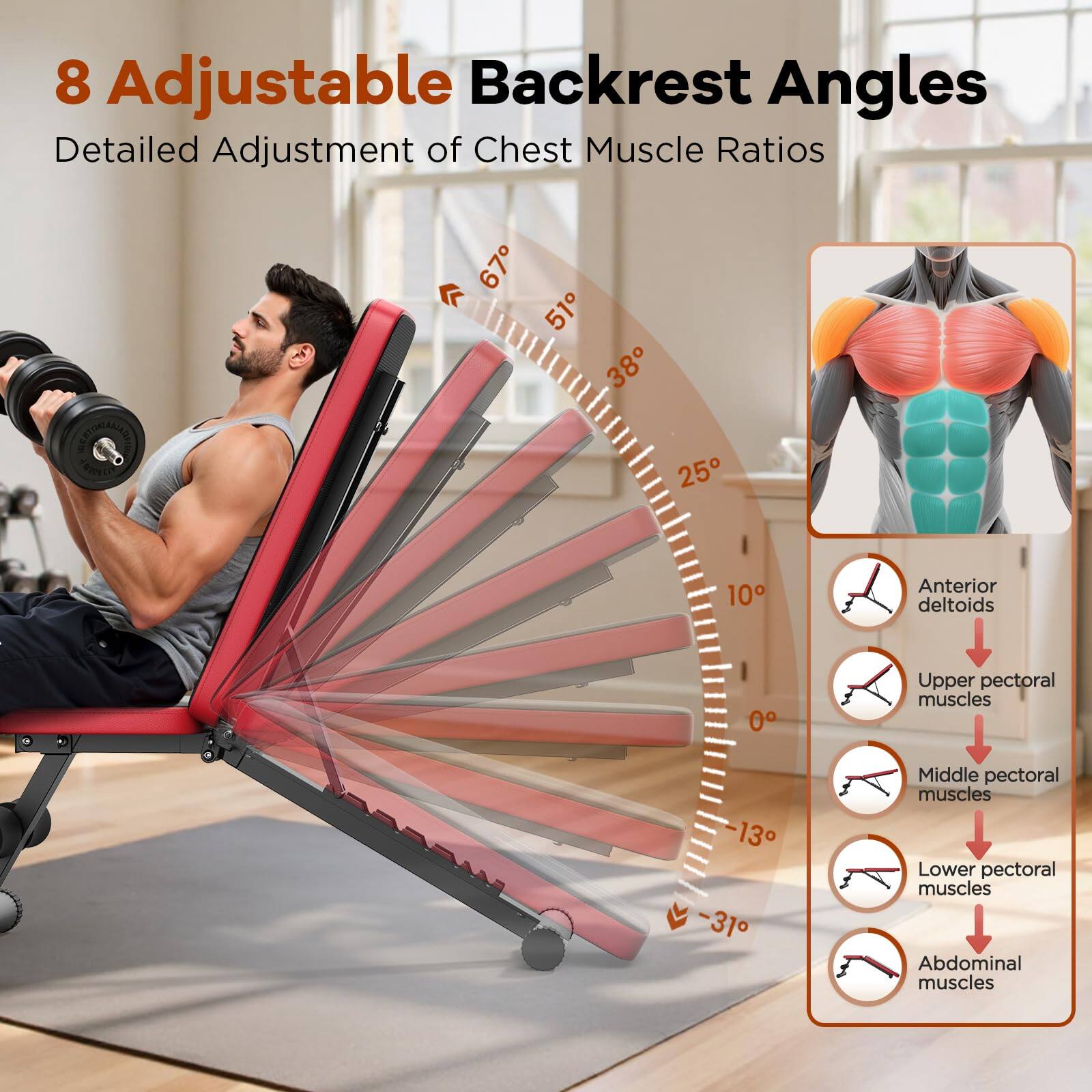 8 Adjustable Backrest Angles  
Detailed Adjustment of Chest Muscle Ratios  

- Anterior deltoids  
- Upper pectoral muscles  
- Middle pectoral muscles  
- Lower pectoral muscles  
- Abdominal muscles  

Angles:  
- 67°  
- 51°  
- 38°  
- 25°  
- 10°  
- 0°  
- -13°  
- -31°
