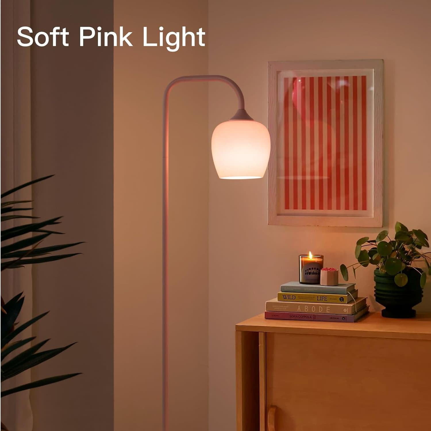 Soft Pink Light  
WILD LIFE  
ABODE  
ACCOMPLA