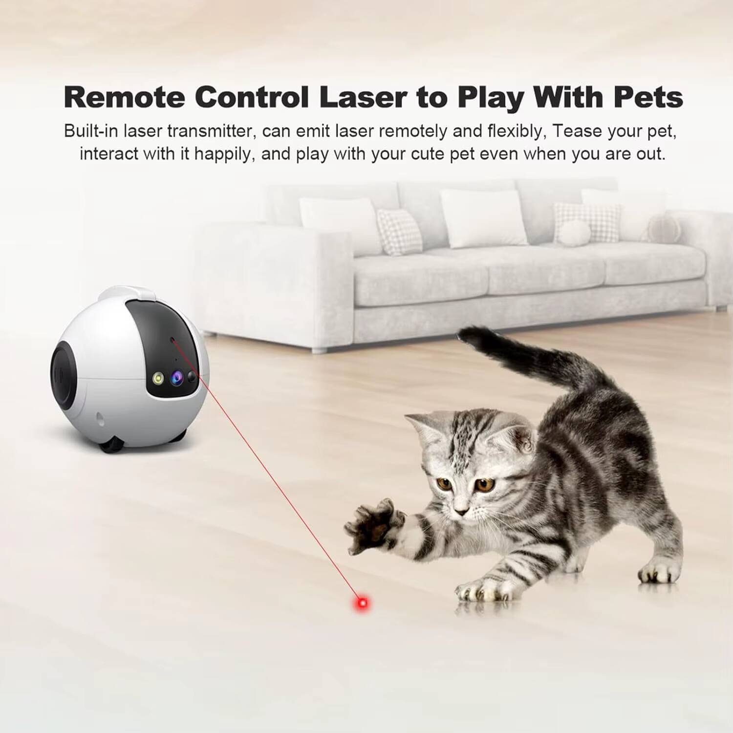 Remote Control Laser to Play With Pets

Built-in laser transmitter, can emit laser remotely and flexibly, Tease your pet, interact with it happily, and play with your cute pet even when you are out.