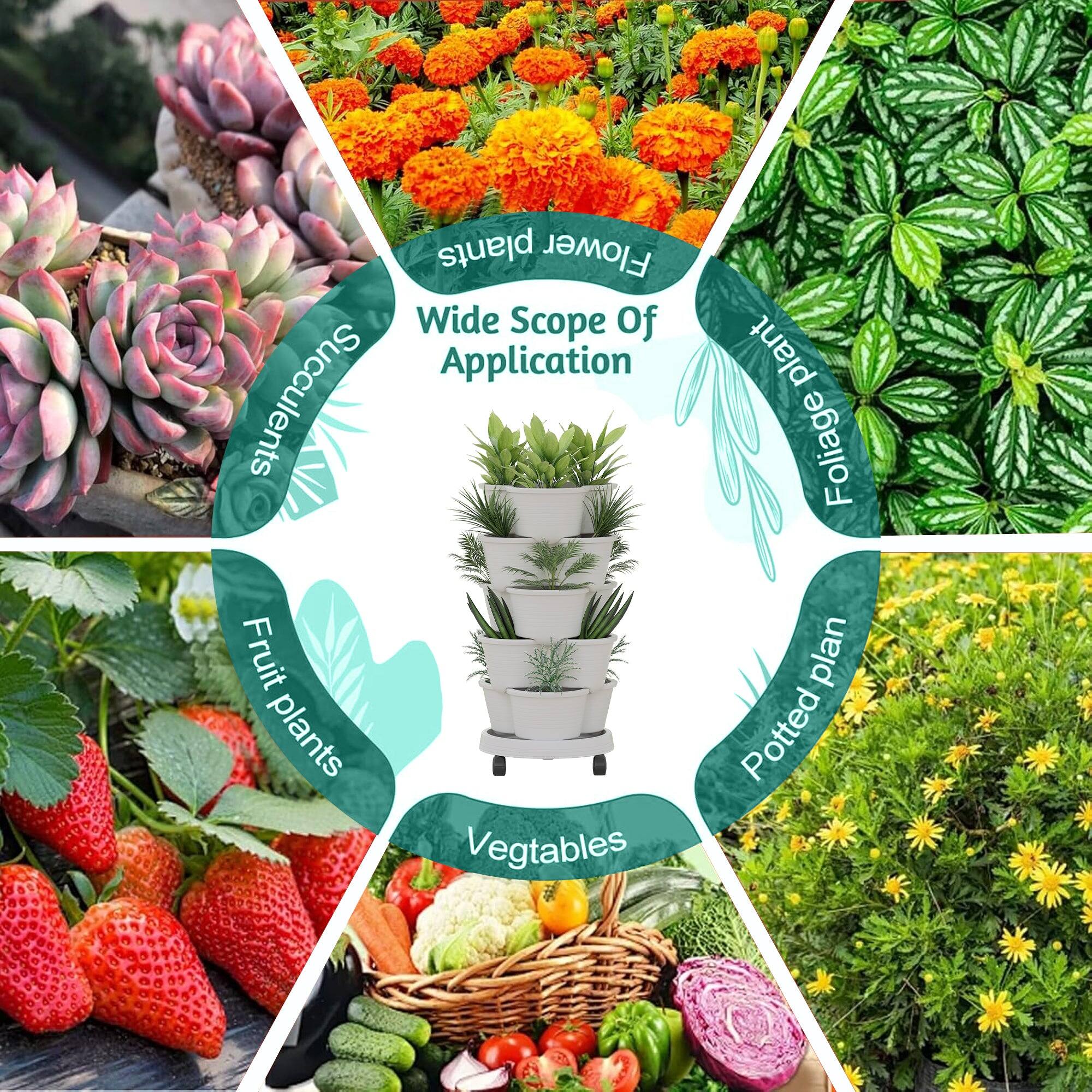 Wide Scope Of Application

- Succulents
- Foliage plants
- Potted plants
- Fruit plants
- Vegetables