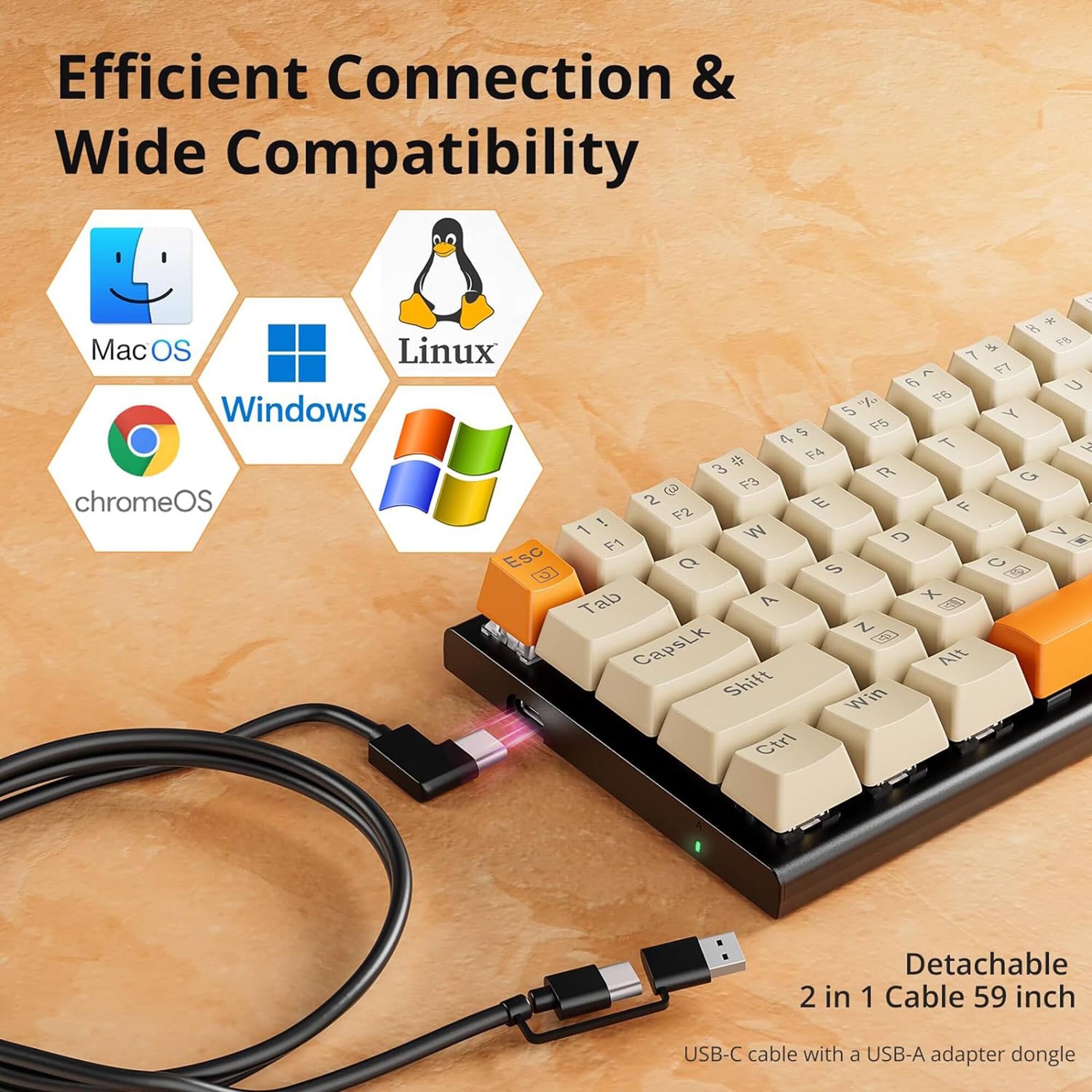 Efficient Connection & Wide Compatibility Mac OS Linux Windows Chrome OS Esc O * 8 & F8 7 e F7 5  "L. F6 5 Y 5 F5 0 45 T J 4 F4 3 R G 0 F3 2 E F ! F2 1 W D 7 F1 D Q S U Tab 7 X B Z (CapsLk Alt Shift Win Ctrl 2 in Detachable 1 Cable 59 inch USB-C cable with a USB-A adapter dongle