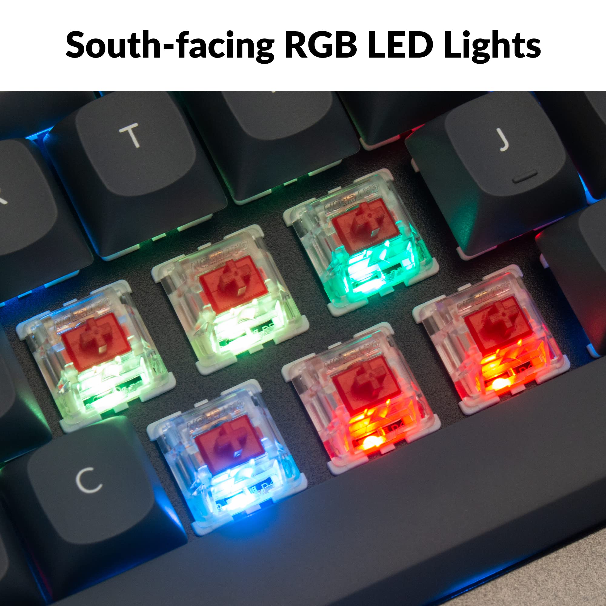 South-facing RGB LED Lights