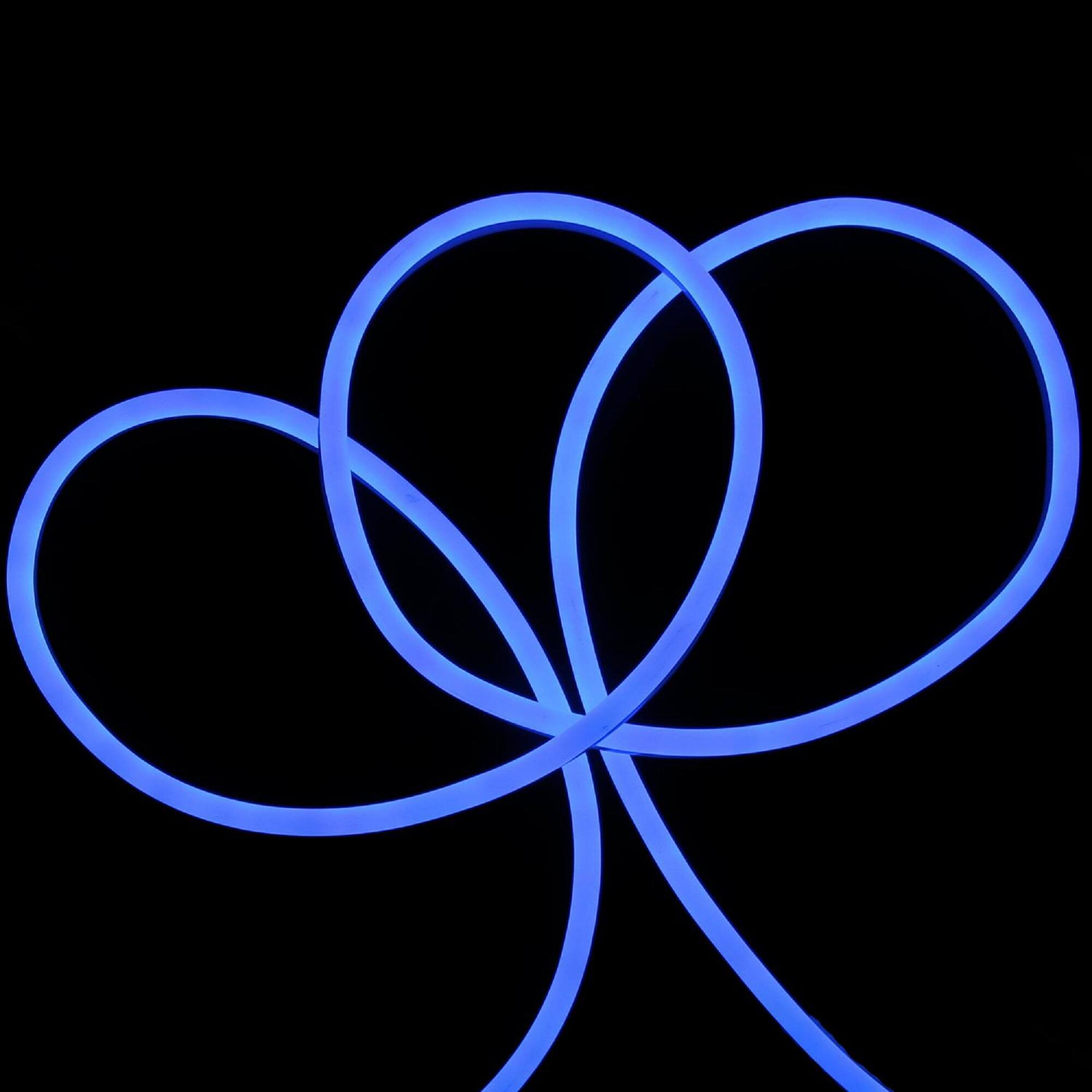 Front. Northlight - LED Commercial Grade Flexible Christmas Rope Lights - Blue - 18' Blue Wire - Blue.