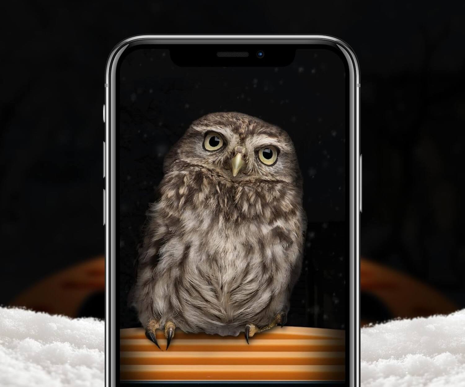 Alt View 4. FINEAK - Solar Smart Bird Feeder-2.5K AI Camera, Real-time Wildlife Experience - Green.