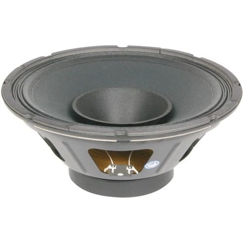 Front Standard. Eminence - 225 W Speaker.