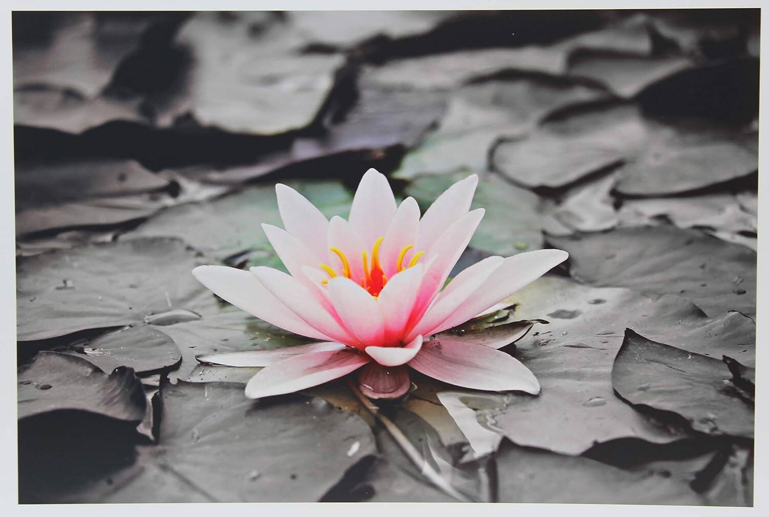 Alt View 4. Photo Paper Direct - Glossy Photo Paper 8.5x14 for Inkjet Printers (50 sheets/180 gsm) - White.