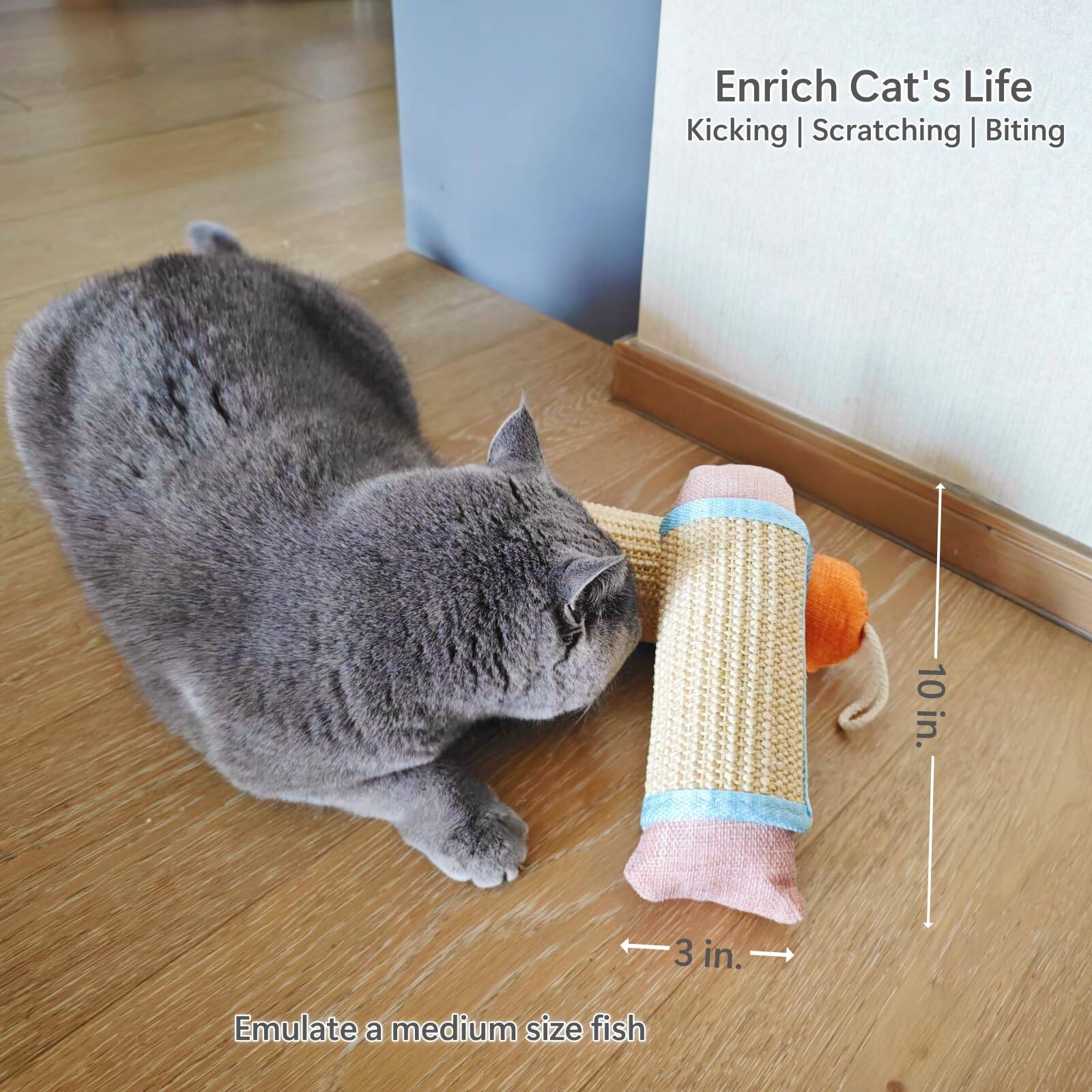 Enrich Cat's Life  
Kicking | Scratching | Biting  

Emulate a medium size fish  

10 in.  
3 in.