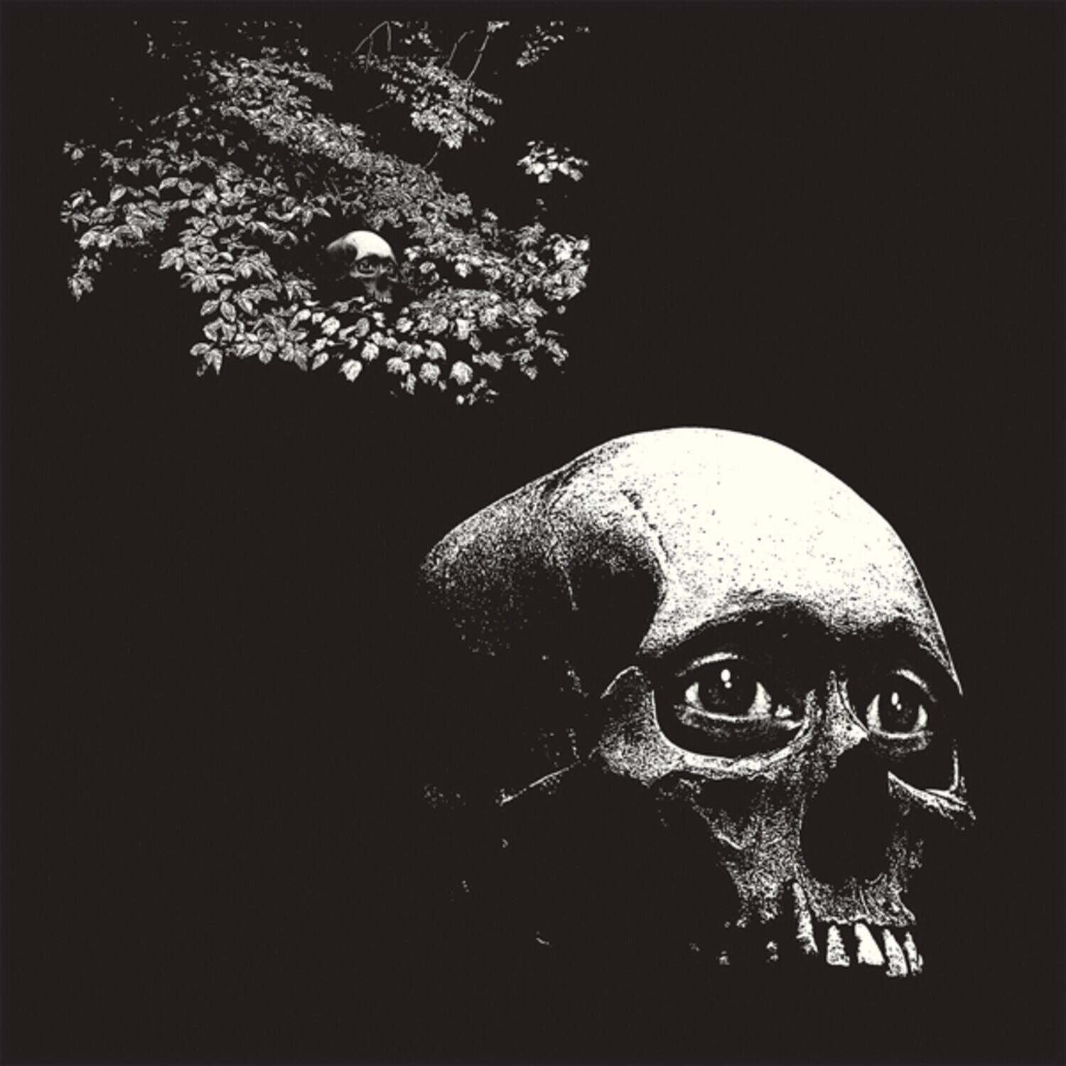 Osees - Foul Form   - COMPACT DISCS [CD]