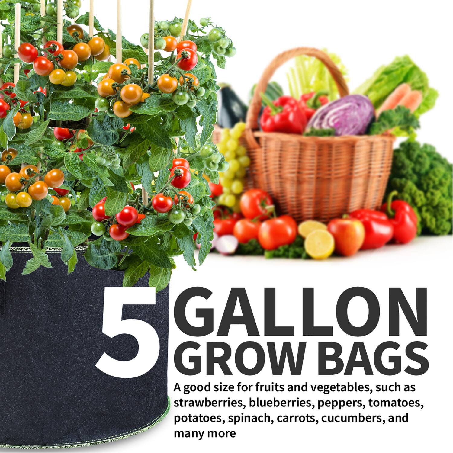 5 GALLON GROW BAGS

A good size for fruits and vegetables, such as strawberries, blueberries, peppers, tomatoes, potatoes, spinach, carrots, cucumbers, and many more