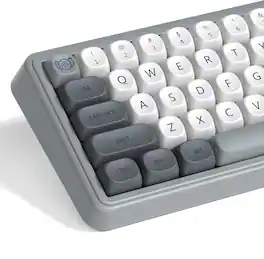 Womier - PBT Keycaps, Themes MOA Keycaps for Most US Layout Cherry MX Switch Mechanical Keyboard - Gray