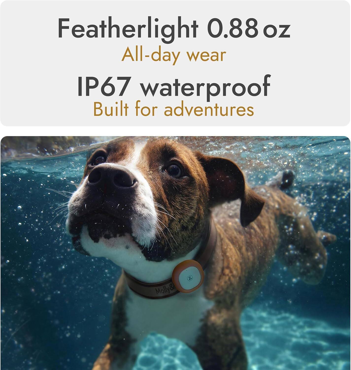 Featherlight 0.88 oz  
All-day wear  
IP67 waterproof  
Built for adventures
