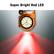 Super Bright Red LED
DAKOTA IS 1301
DAKOTA
12 11 10 9 8 7 6 5 4 3 2 1
15 20 25 30 35 40 45 50 55 60
10 20 30 40 50 60
10 20 30 40 50 60
10 20 30 40 50 60
10 20 30 40 50 60
10 20 30 40 50 60
10 20 30 40 50 60
10 20 30 40 50 60
10 20 30 40 50 60
10 20 30 40 50 60
10 20 30 40 50 60
