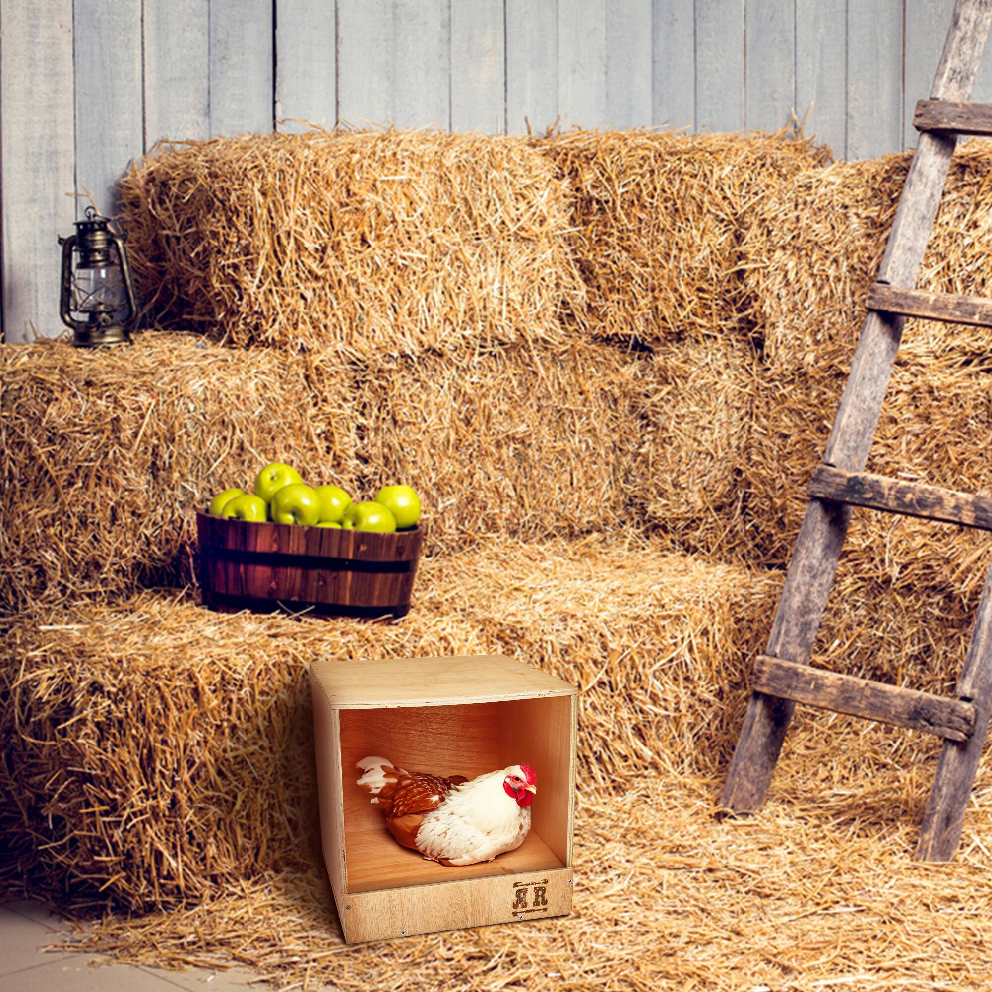 Alt View 2. Rugged Ranch Products - Rugged Range Products Studio Chicken Coop Interior Nesting Box for 1 to 2 Hens.