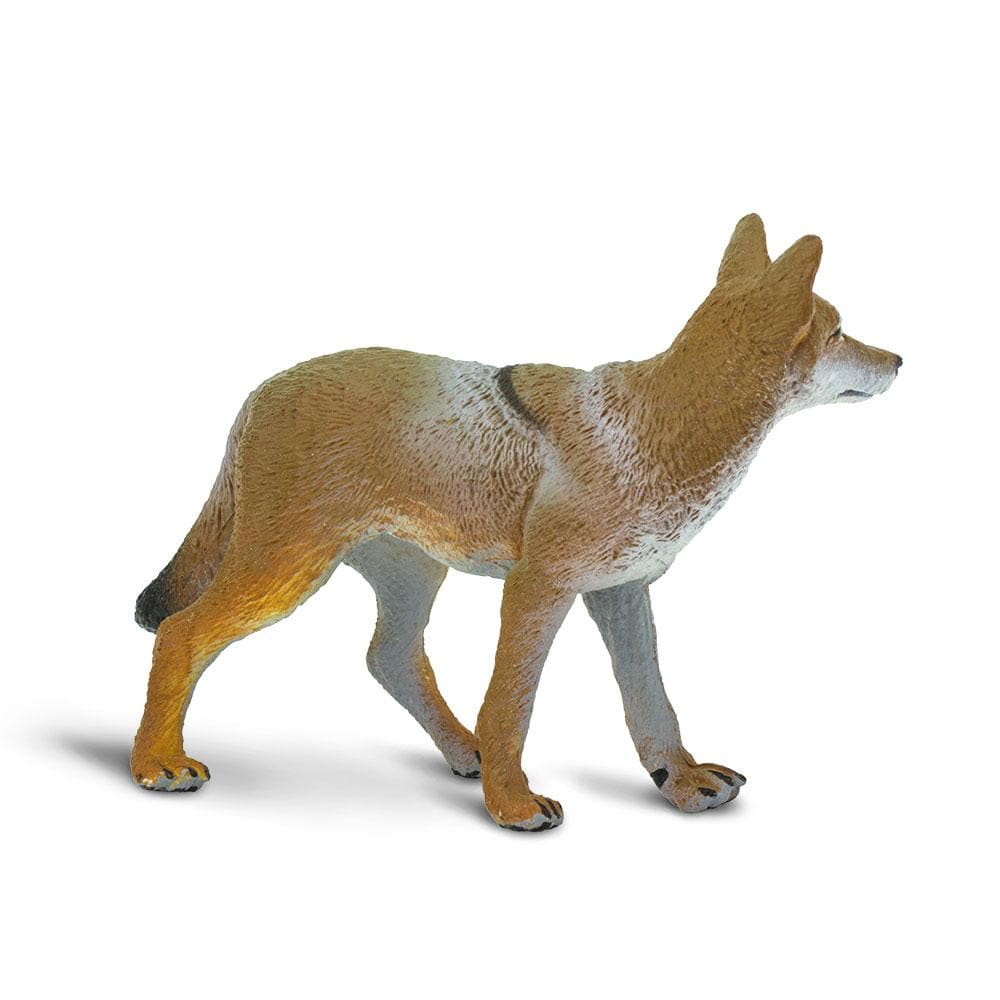 Back. Safari Ltd. - Coyote Toy Figurine.