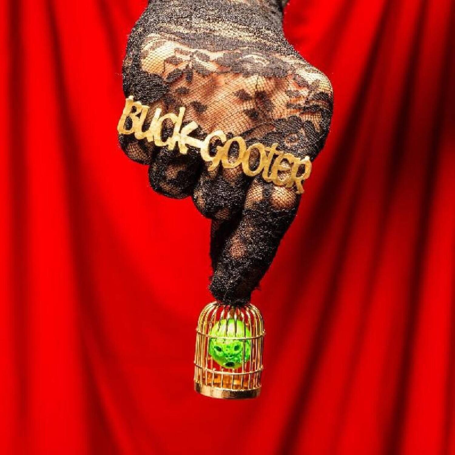 Buck Gooter - Head In A Bird Cage   - VINYL LP price history on PriceWatchPro