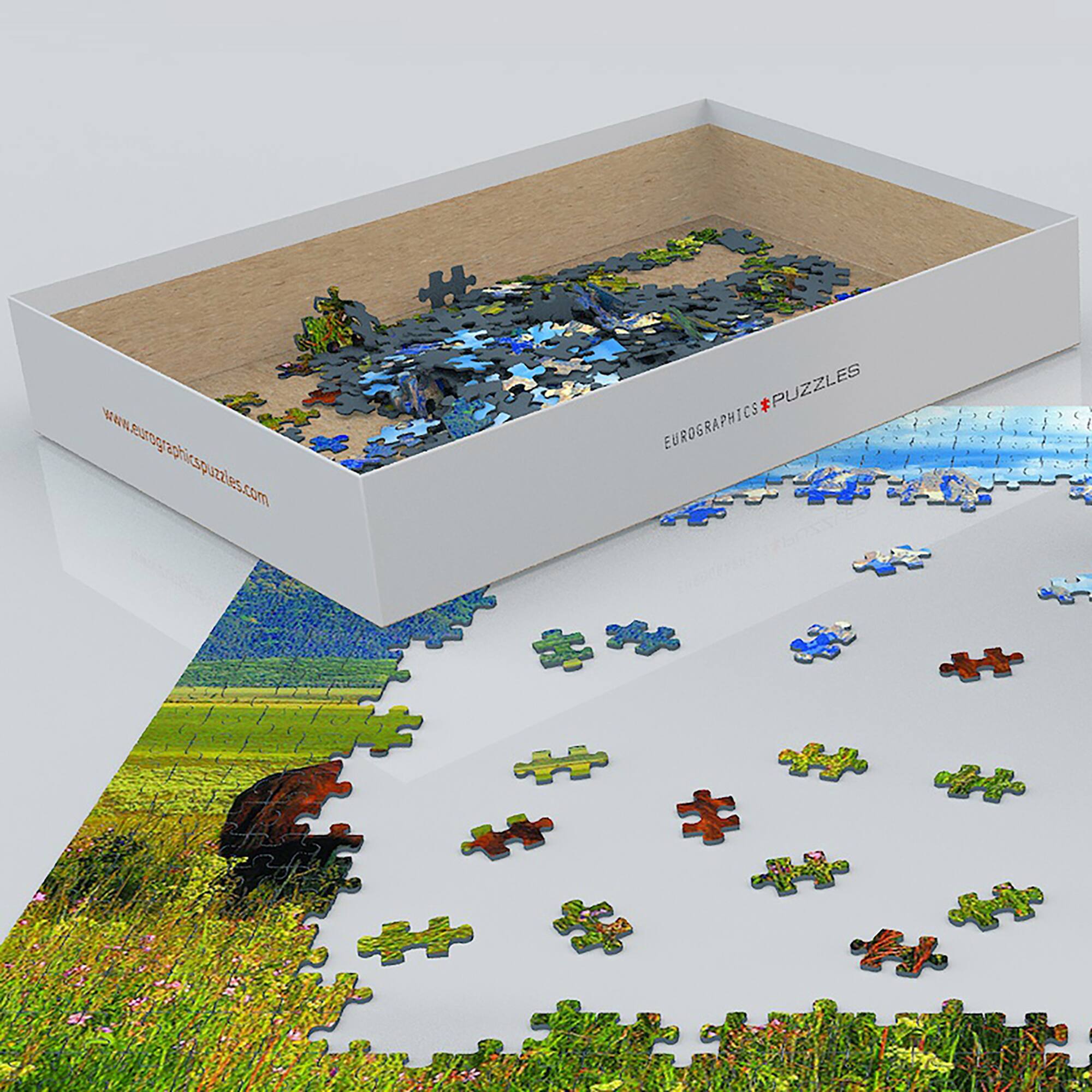 The text on the image reads "www.aurographicspuzzles.com a PUZZLES EUROGRAPHICS."