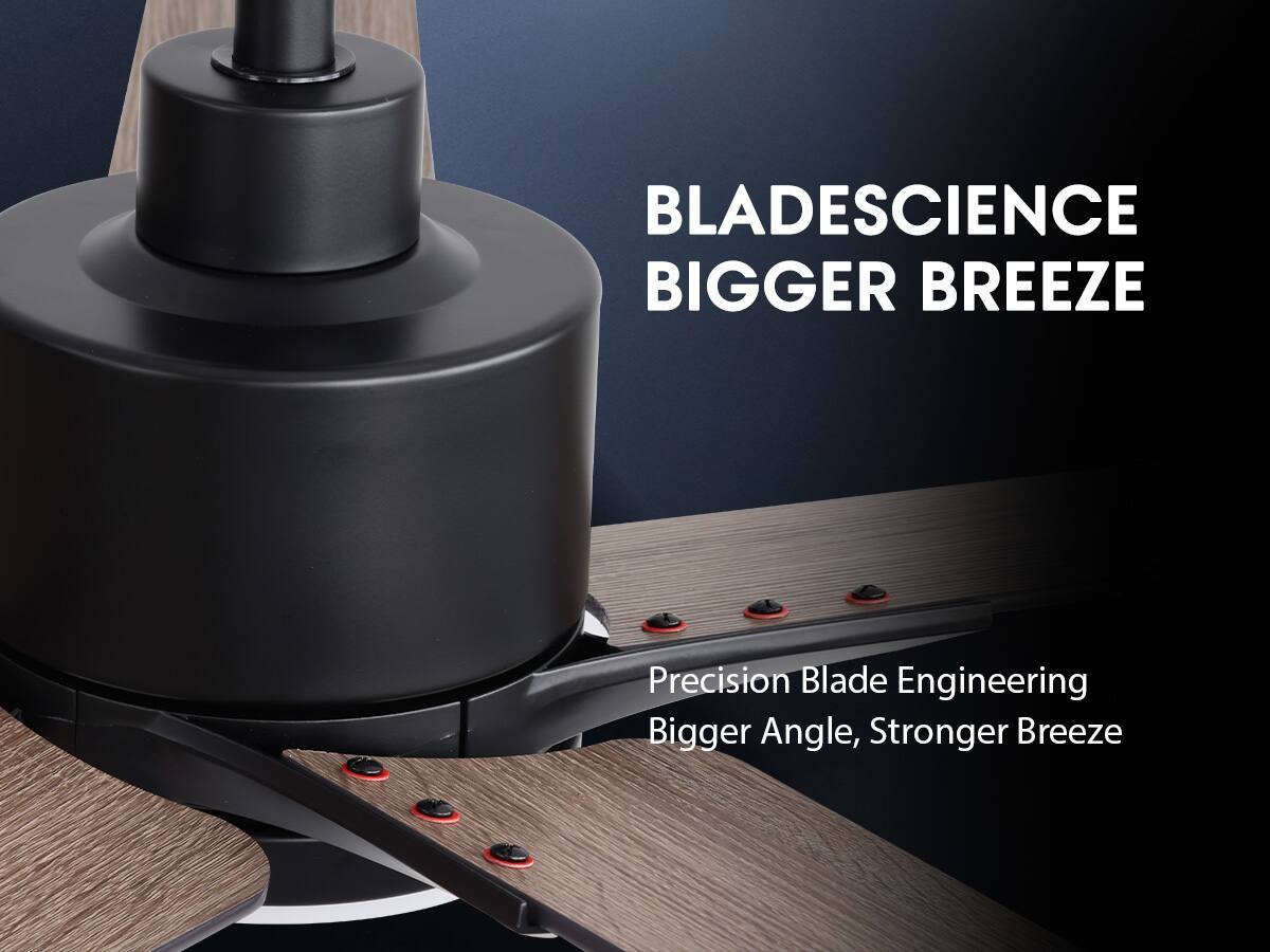 BLADE SCIENCE  
BIGGER BREEZE  

Precision Blade Engineering  
Bigger Angle, Stronger Breeze