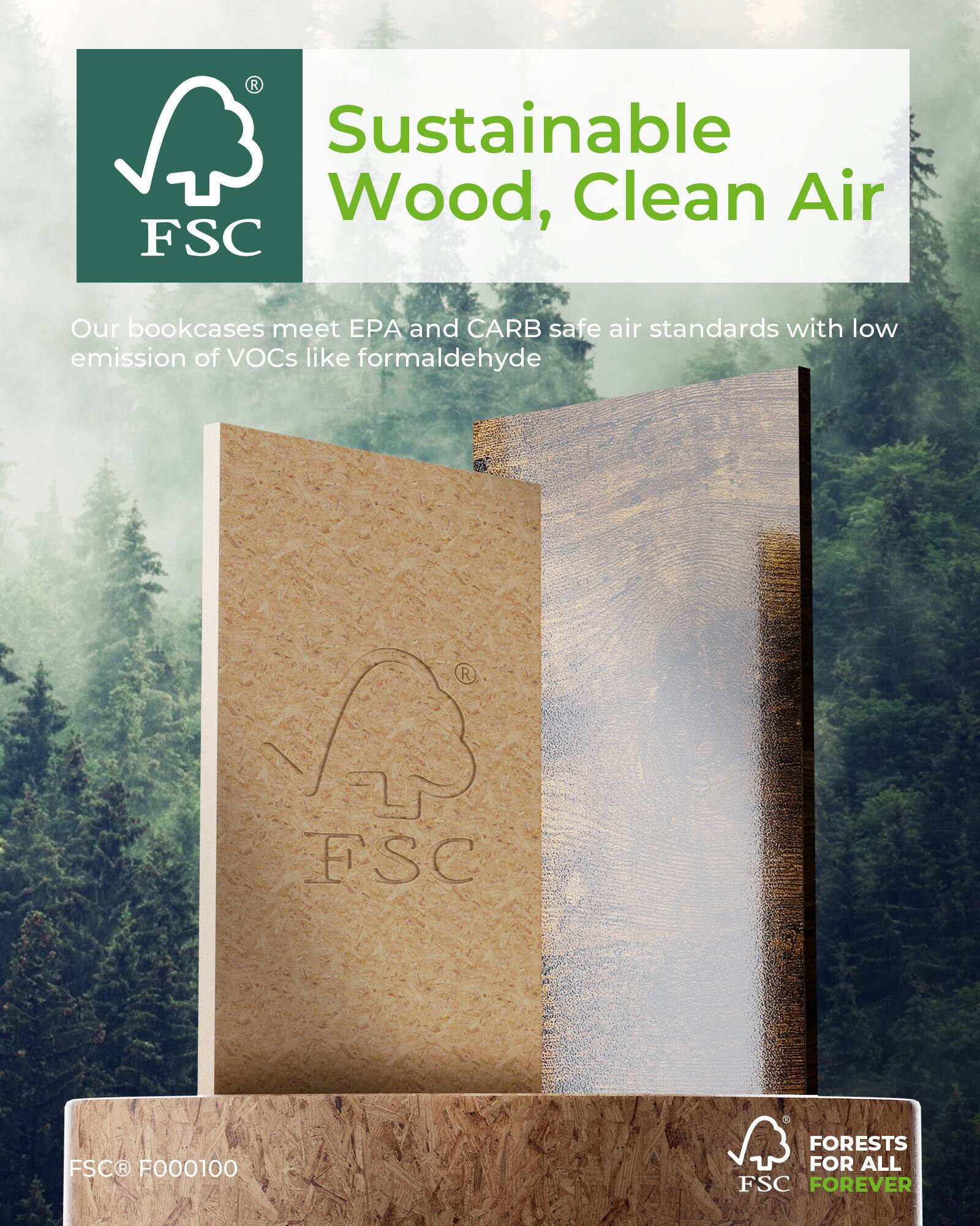 Sustainable Wood, Clean Air

Our bookcases meet EPA and CARB safe air standards with low emission of VOCs like formaldehyde

FSC® F000100

FORESTS FOR ALL FOREVER