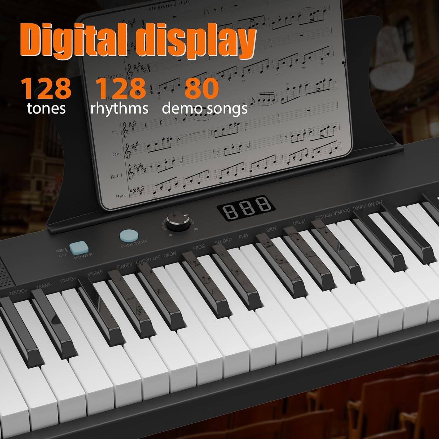Digital display  
128 tones  
128 rhythms  
80 demo songs