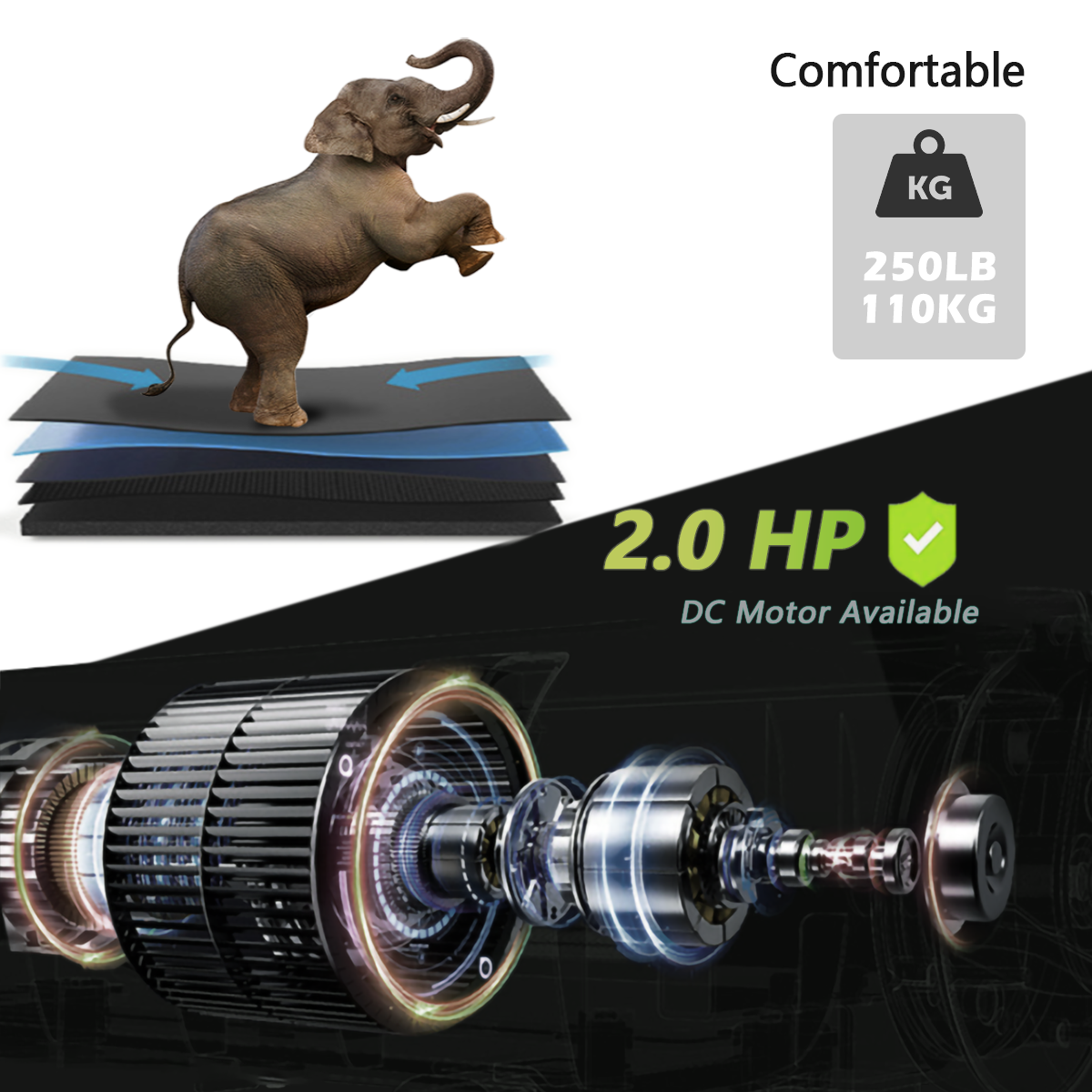 Comfortable  
250LB 110KG  
2.0 HP  
DC Motor Available