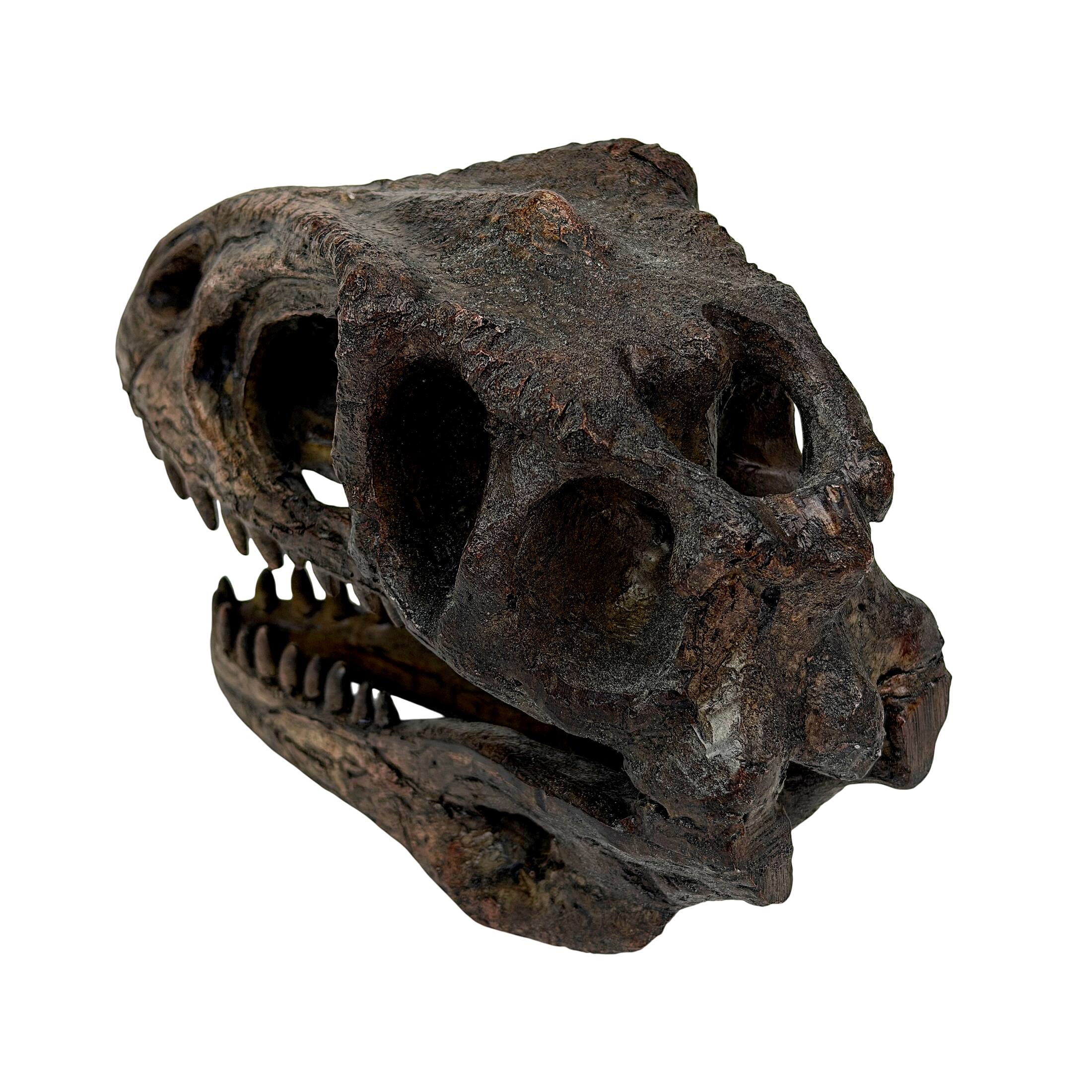 Alt View 2. Things2Die4 - Giganotosaurus Dinosaur Statue Weathered Brown Resin 6.5 Inch Tabletop Decor - Brown.