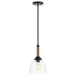 Jonathan Y - Alys 7.63" Adjustable Rope-Wrap Modern Rustic Iron/Glass LED Pendant - Black